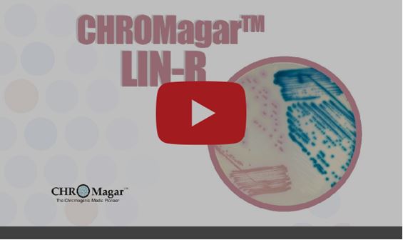 CHROMagar™ LIN-R to Fight the Emergence of Linezolid-Resistant Strains